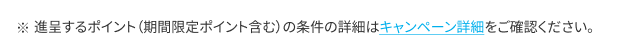 ※進呈するポイント（期間限定ポイント含む）の条件の詳細はキャンペーン詳細をご確認ください。