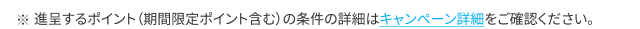 進呈するポイント（期間限定ポイント含む）の条件の詳細はキャンペーン詳細をご確認ください。